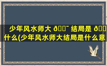 少年风水师大 🐯 结局是 🐛 什么(少年风水师大结局是什么意思)